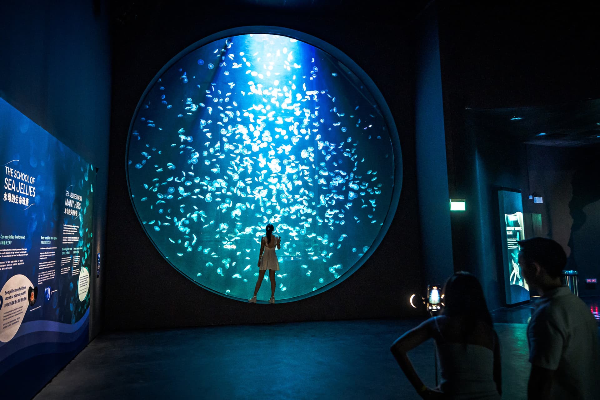 Singapore Oceanarium Ticket - image 6