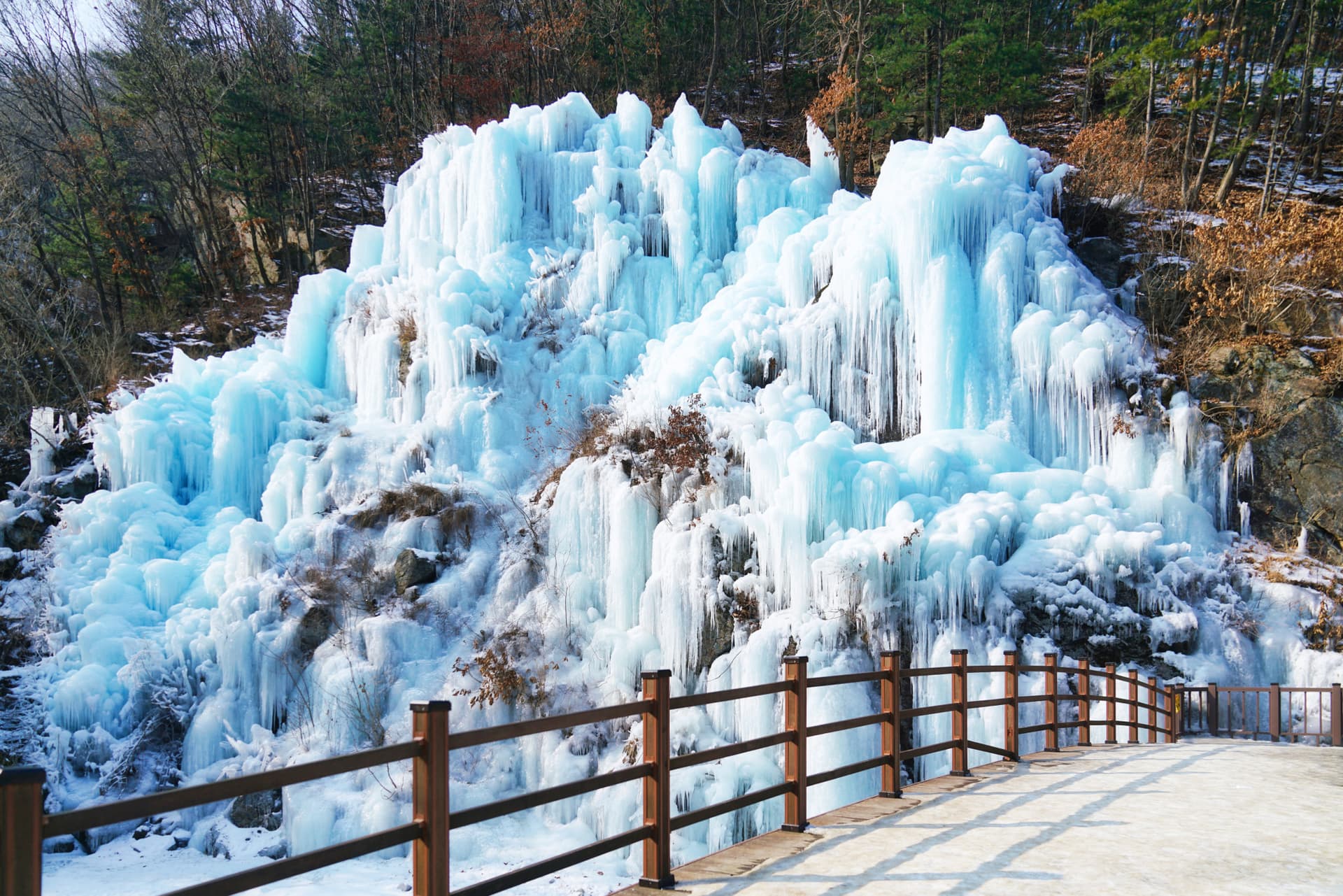 Nami Island, Petite France, Italian Village, and Gangchon Rail Bike Tour from Seoul - image 11
