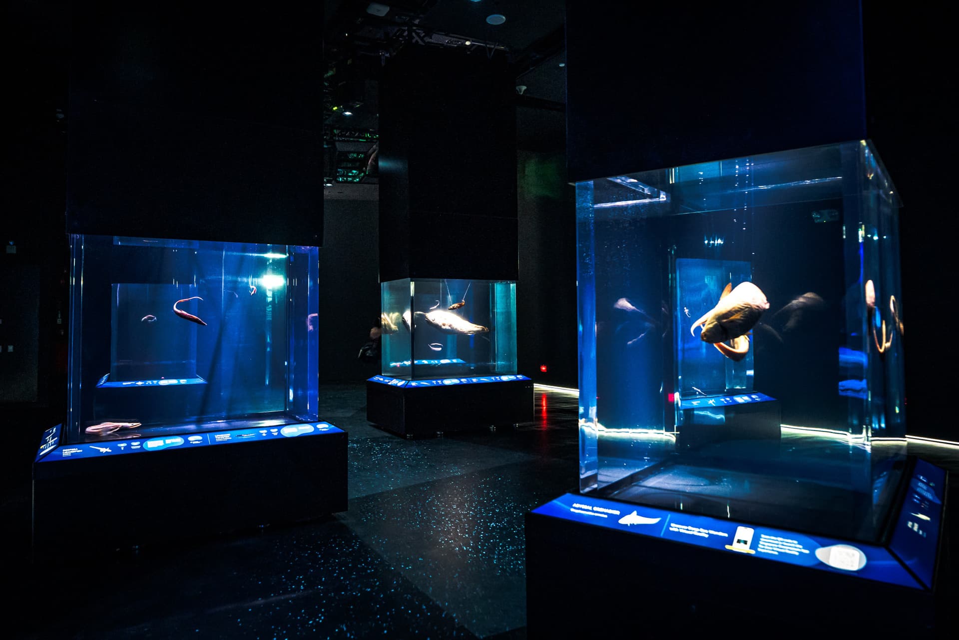 Singapore Oceanarium Ticket - image 4
