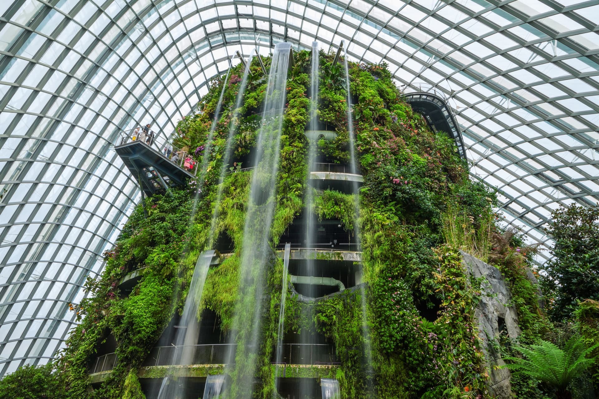 COMBO: Gardens by the Bay - Double Conservatories + Floral Fantasy Ticket - image 7
