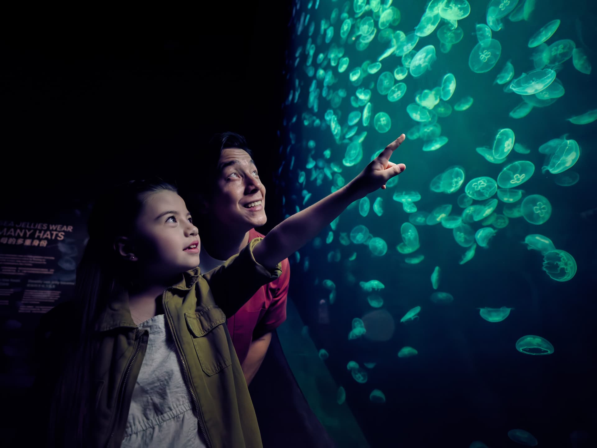 Singapore Oceanarium Ticket - image 9