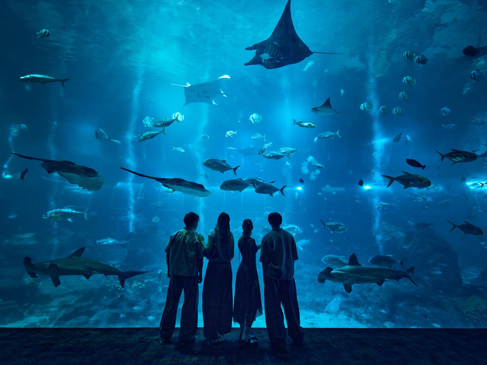 Singapore Oceanarium Ticket - image 5